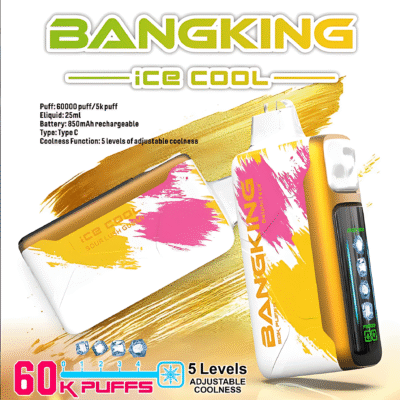 BANGKING拋棄式電子煙細節與規格｜Bangking Ice Cool 6000…