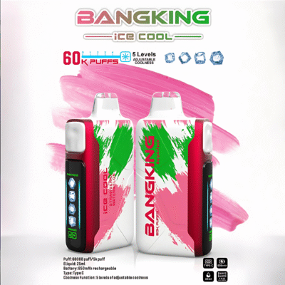 BANGKING拋棄式電子煙商品實拍｜Bangking Ice Cool 6000…