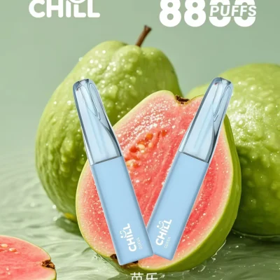 CHILL 8800口拋棄式電子煙|始祖鳥大容量一次性煙桿 鴨嘴獸同款|台灣現貨 3 CHILL拋棄式電子煙商品實拍|CHILL 8800口拋棄式電子煙